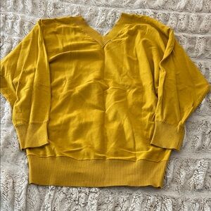 Universal Standard Golden V-Neck Sweater